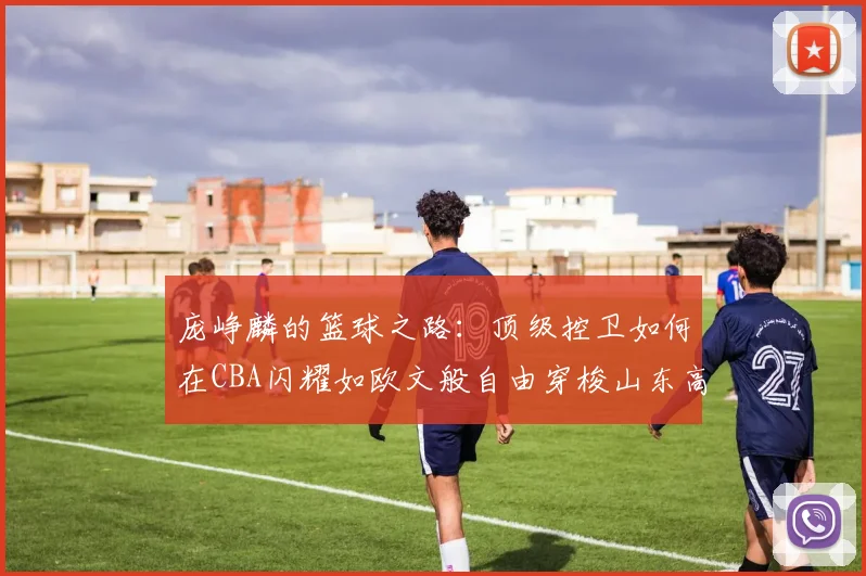 庞峥麟的篮球之路：顶级控卫如何在CBA闪耀如欧文般自由穿梭山东高速