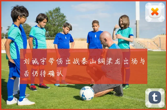 刘诚宇带伤出战泰山铜梁龙出场与否仍待确认